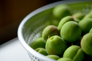 Making Japanese apricot syrup and liqueur.
Ume Shigoto,Japanese plum preparation.