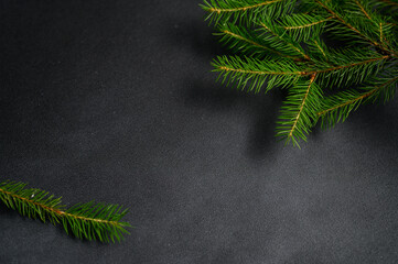 Green coniferous branches of Christmas tree on black empty textured table top view