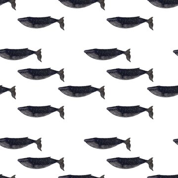 Seamless pattern with big ocean whales. Illustration with deep sea animal on white background. Print for  kids design, textile, paper, books, toys, greeting, banners, wallpapers.