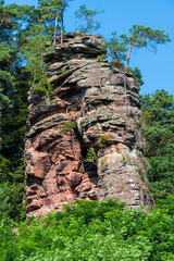 Fototapete bei efototapeten.de bestellen   