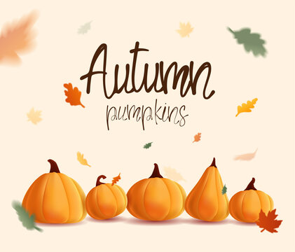 Banner autumn with illustration of realistic pumpkins and flying leaves.
