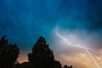 Fototapeta premium Lightning in the clouds. Storm. Dramatic dark blue sky, trees in the foreground. Weather, flash