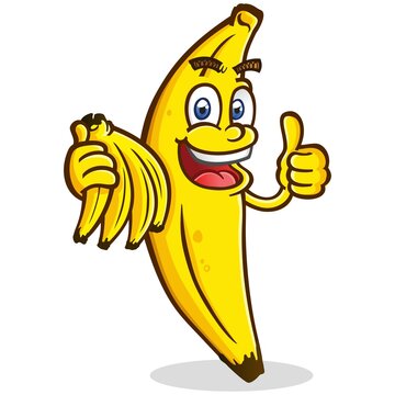 Happy smiling banana cartoon character holding bunches giving a thumbs up