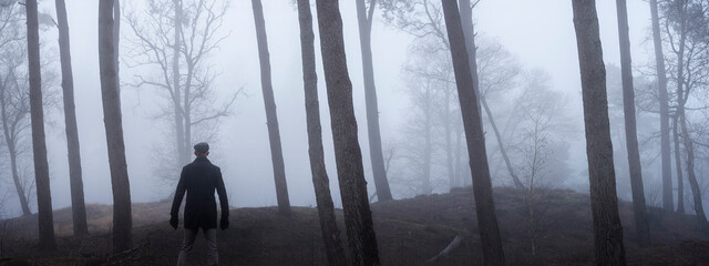 lonely man between trunks of pine trees in misty forest