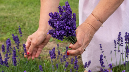 Woman with bouquet of beautiful lavender flowers outdoors, closeup