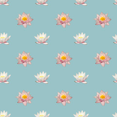 Fototapeta na wymiar Seamless pattern with delicate pink water lilies on a blue background.