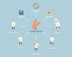 liver cancer and anatomy, health care, liver disease infographic concept, flat vector illustration cartoon character design clip art