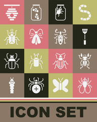 Set Insect fly, Beetle deer, Fly swatter, Spider in jar, Clothes moth, bug, Hive for bees and icon. Vector