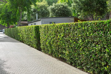 street with cobblestone pattern, Pathways with green lawns, Landscaping in the garden, curve...