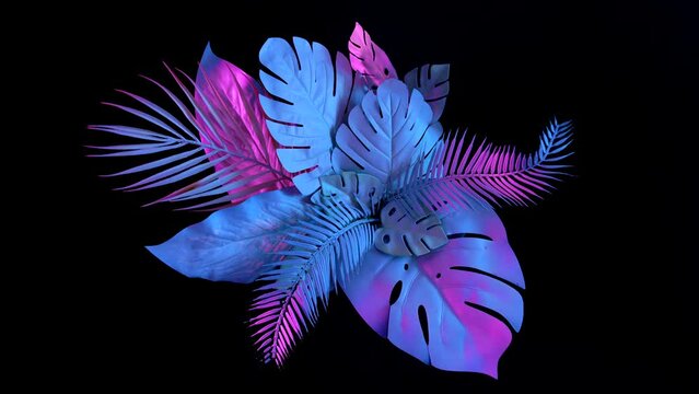 Top view of tropical leaves in vibrant gradient holographic neon colors on black background. Nature concept. Rotation around its axis.