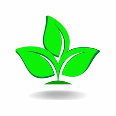 green plant with leaves Eco-friendly icons Vector illustration with Green organic plant leaf. Eco-friendly green leaf. 3d vector illustration.