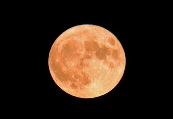 Deer moon, the biggest of the year.