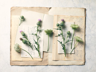 Composition of wild meadow flowers on old hand written letters. Flat lay