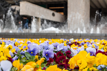 Fototapety na wymiar - Fototapeta24.pl