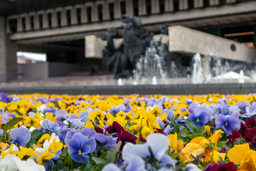 Fototapety na wymiar - Fototapeta24.pl