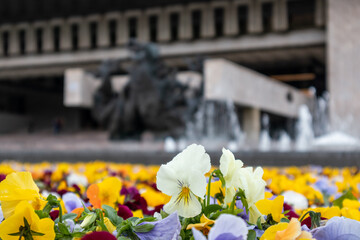 Fototapety na wymiar - Fototapeta24.pl