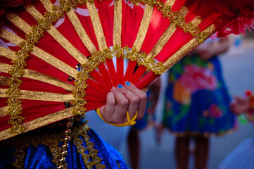 manifestação cultural no ceara com aconteceu no ceara e captei esse detalhe do leque .cultural...