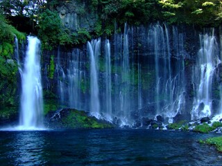 Fototapeta na wymiar 静岡県　白糸の滝の風景