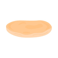 Scoby mushroom. Kombucha tea fermented probiotic homemade drink. Healthy fungus drink. Flat style vector illustration isolated on white background.