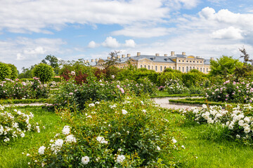 Fototapeta premium Gardens of Rundale palace in Latvia. Famous attraction place for tourists