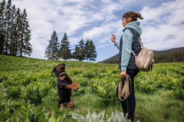 Teenage girl in suit stands and gives commands to dog of Rottweiler breed on meadow with vegetation