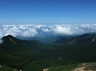 八ヶ岳の登山道から見た風景