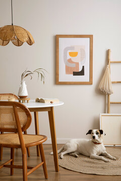 The stylish dining room with round table, rattan chair, dog on the carpet, poster and kitchen accessories. Beige wall with mock up poster. Home decor. Template.