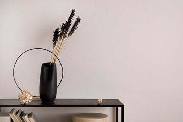 The stylish composition of minimalistic interior with copy space.  Black commode, vase with dried...