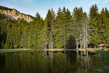Lake with clear water and stone shore in spruce forest with fir trees against a daytime sky