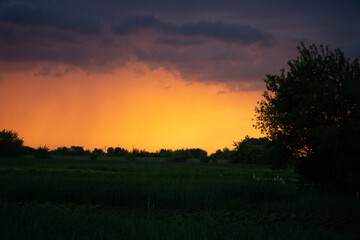 Fototapeta na wymiar sunset over the forest