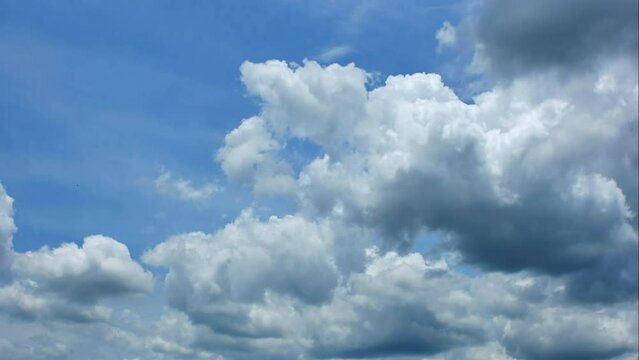 The summer sky is adorned with a brilliant shade of blue, adorned with puffy, fluffy white clouds.