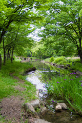 旧藤田邸庭園（大阪府大阪市都島区）