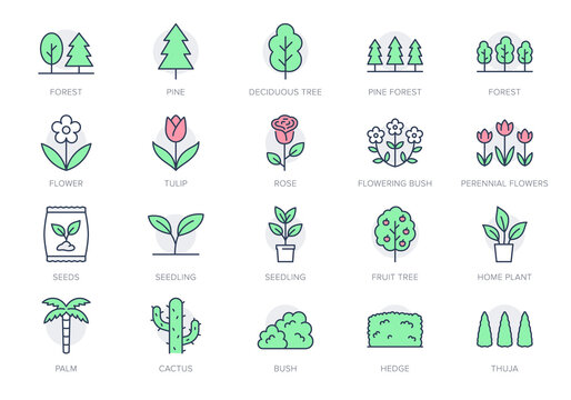 Plants line icons. Vector illustration include icon - green fence, wood, houseplant, thuja, seedling, wildflower, cactus outline pictogram for garden tree and bushes. Green Color, Editable Stroke