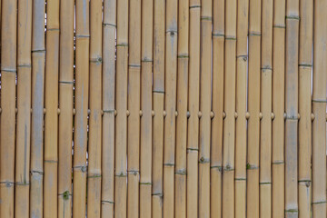 Yellow brown dry bamboo fence background, Bamboos are a diverse group of evergreen perennial flowering plants in the subfamily Bambusoideae of the grass family Poaceae, Nature pattern texture.