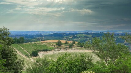 Landscapes of vineyards in montà d'alba in the piedmontese langhe, during a mangialonga in June 2022 - obrazy, fototapety, plakaty