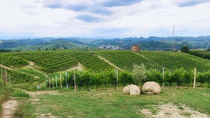 the landscapes of Montà d'Alba during the mangialonga, in the Piedmontese Langhe in early summer