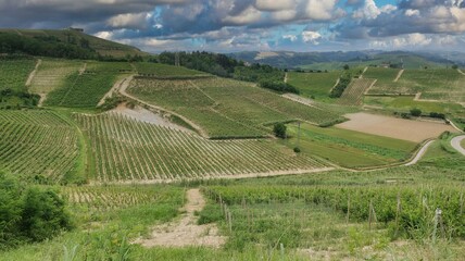 the landscapes of Montà d'Alba during the mangialonga, in the Piedmontese Langhe in early summer - obrazy, fototapety, plakaty
