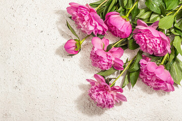 Fragrant pink peonies bouquet. Summer plaster background, seasonal design, festive card concept