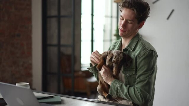 Young businessman is playing with dog and sitting at table with laptop in home office spbd. 4k Closeup view of caucasian guy holds brown dachshund in his hand and looks with smile, has work break and