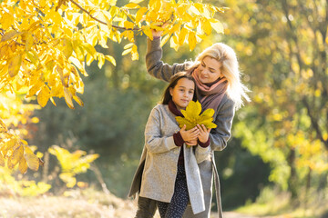 happy family: mother and child little daughter play on autumn walk in nature outdoors