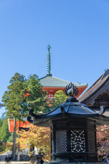 Obraz premium 高野山（和歌山県高野町）の紅葉