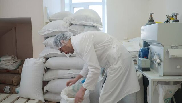 Worker is looking into the bag with the barley grain in a storage room. Worker is checking the quality of the raw barley grain ingredient. Worker in white clothes picks up a handful of barley grains.