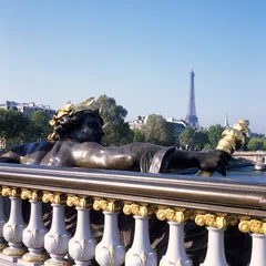 Sierkussen Pont Alexandre III Pont Alexandre III en de Eiffeltoren, standbeeld van de nimfen van de Seine door Georges Recipon (1900), Parijs, Frankrijk  © Peter