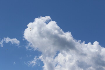 Naklejka na ściany i meble paragliding over clouds in bavaria, germany