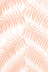 Fern leaves a useful background pattern - stock photo