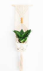 decorative macrame plant holder hanging on the wall detail decorating the interior of a house with white walls