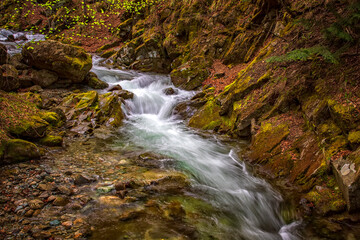 beautiful motion blur water view in the river with rocks in a forest