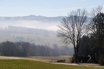 Obraz premium wafts of fog in the mountains of Austria