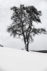 Fototapeta na wymiar Mostviertel in winter