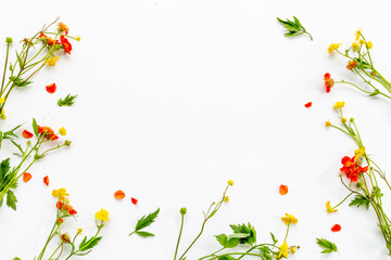 Summer floral pattern with wild meadow blooming flowers and herbs